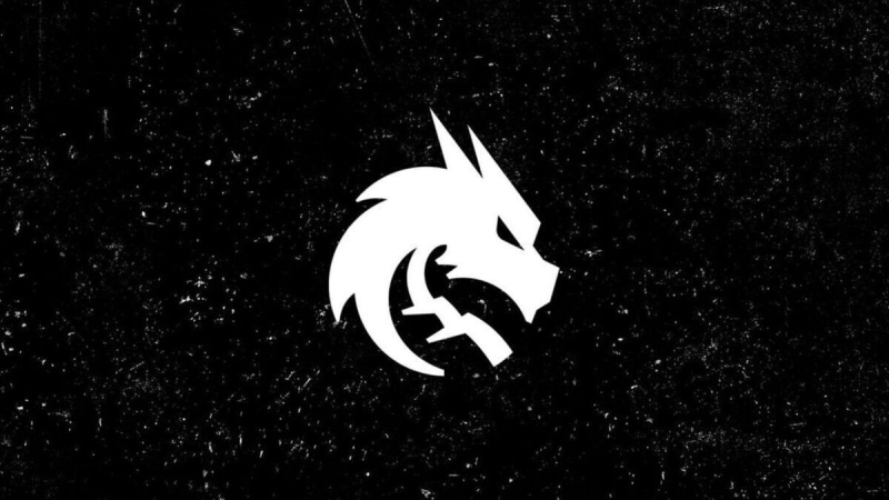 Экс-капитан Spirit по Dota 2 опроверг слухи о возвращении в команду на позицию тренера